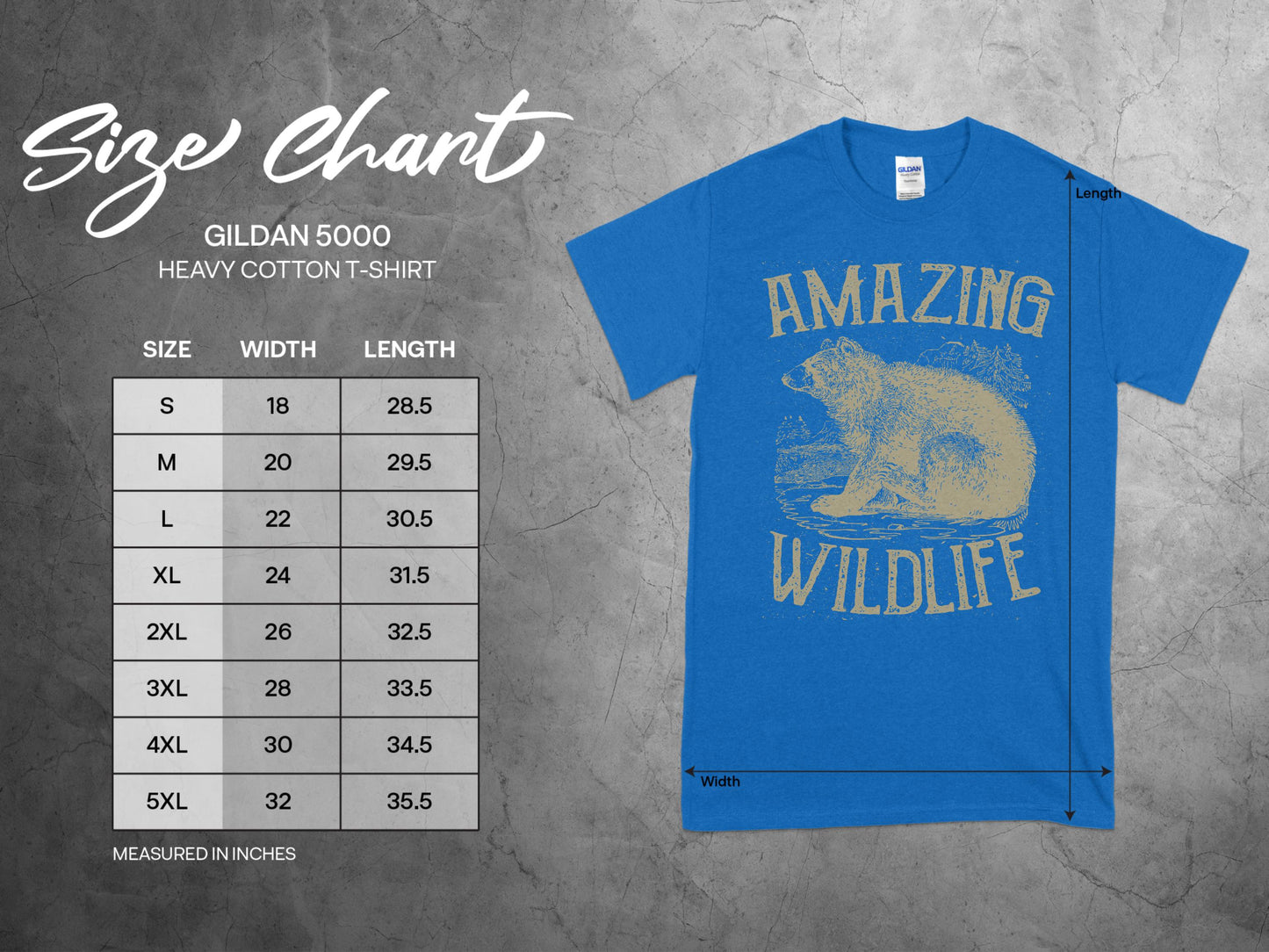 a814c216-63f0-40d3-852e-0d21f9065180